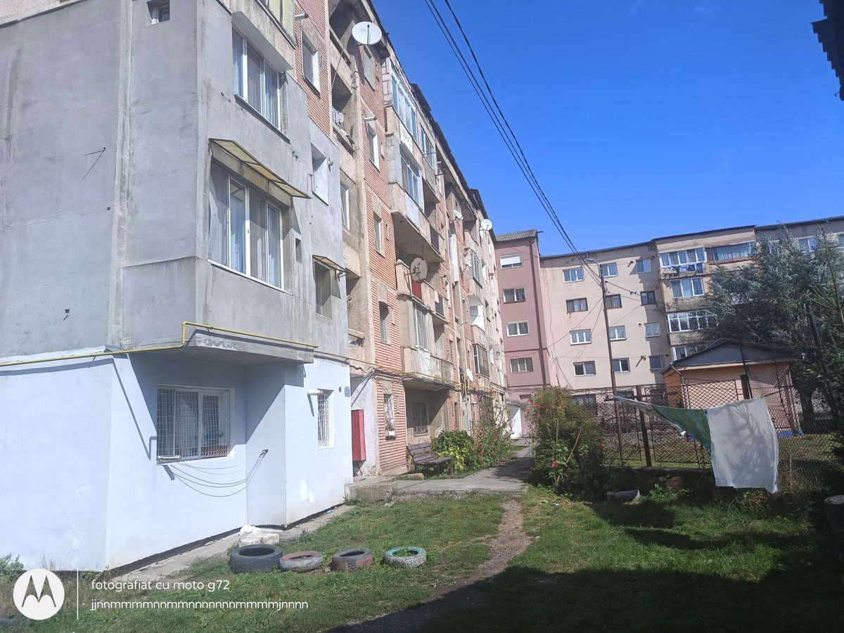 Miniatură 2
