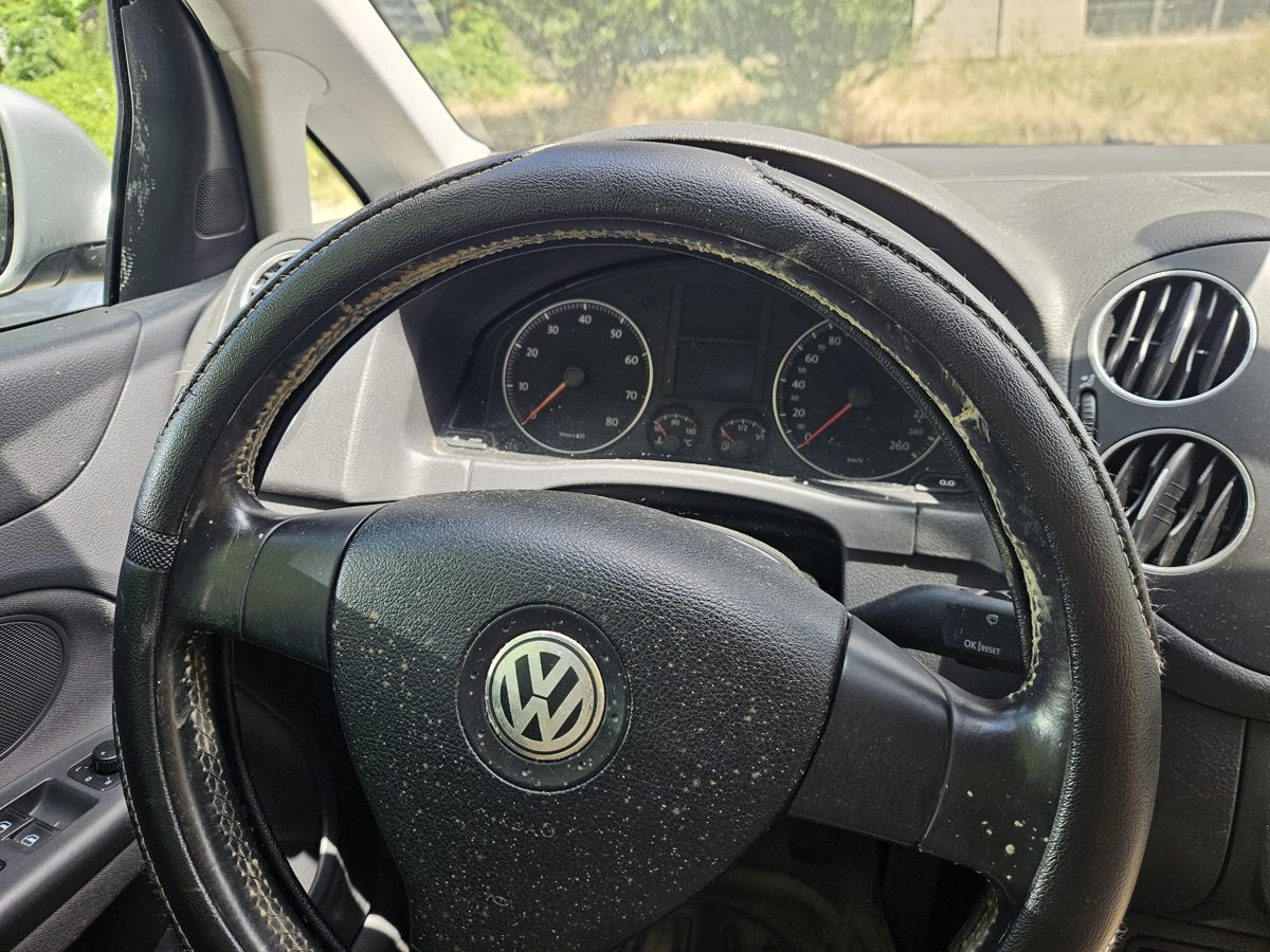 Miniatură 7