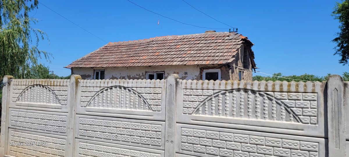 Miniatură 2