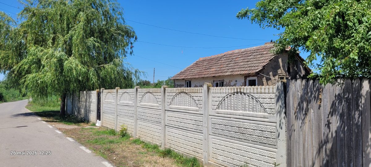 Miniatură 3