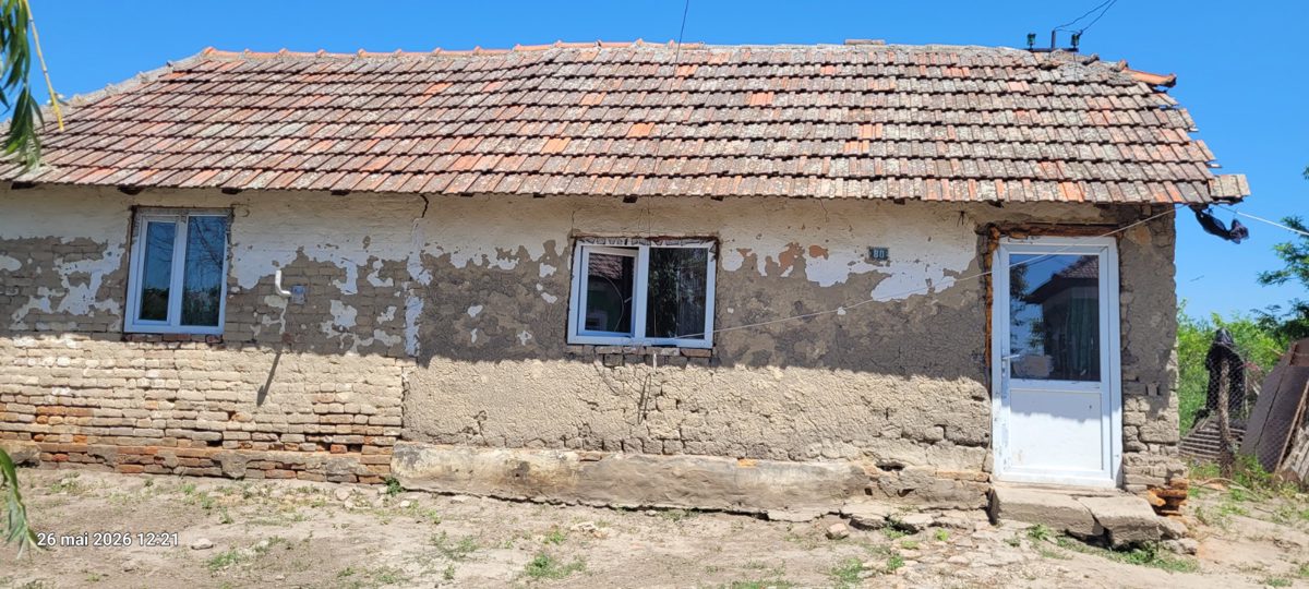 Miniatură 4