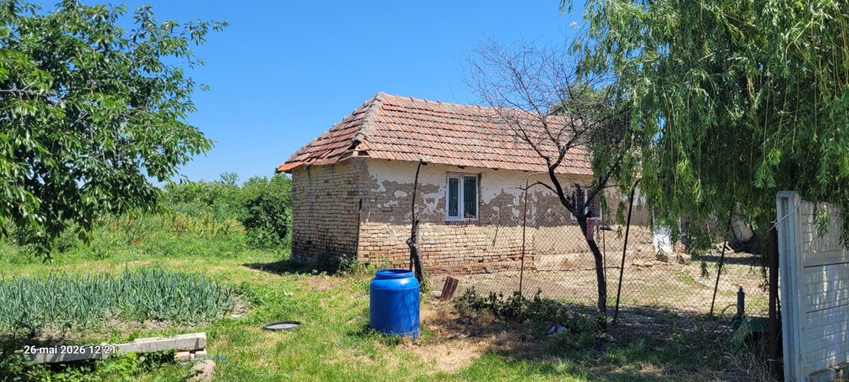 Miniatură 5