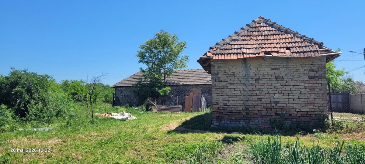 Miniatură 6
