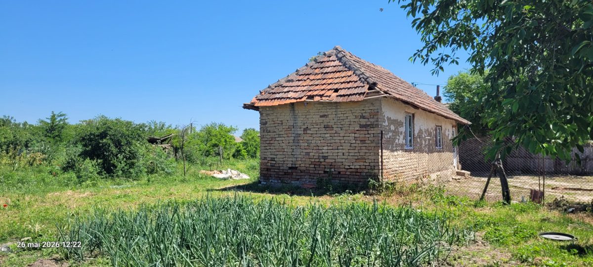 Miniatură 7