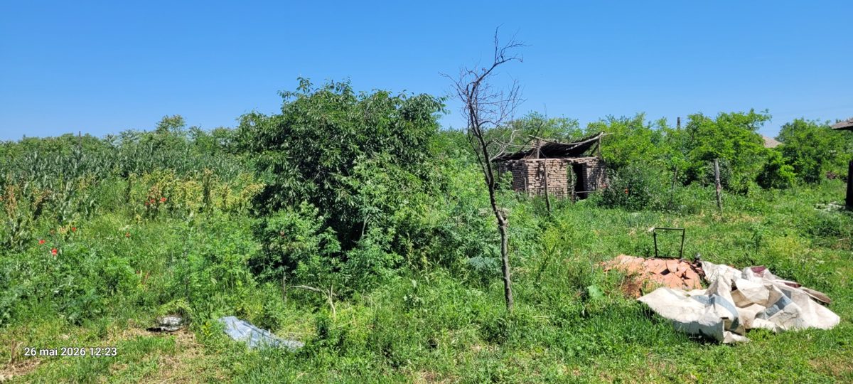 Miniatură 9