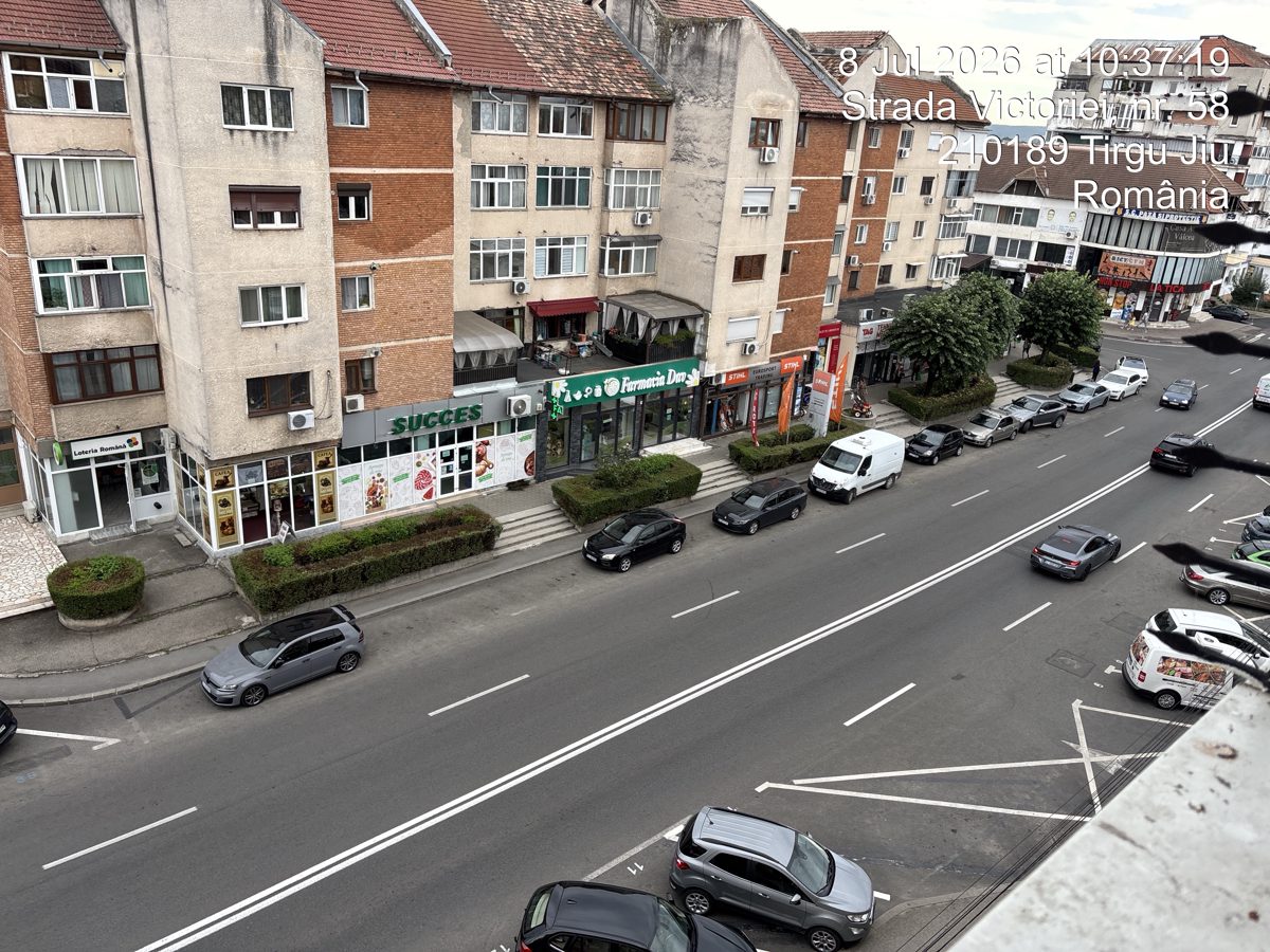 Miniatură 10