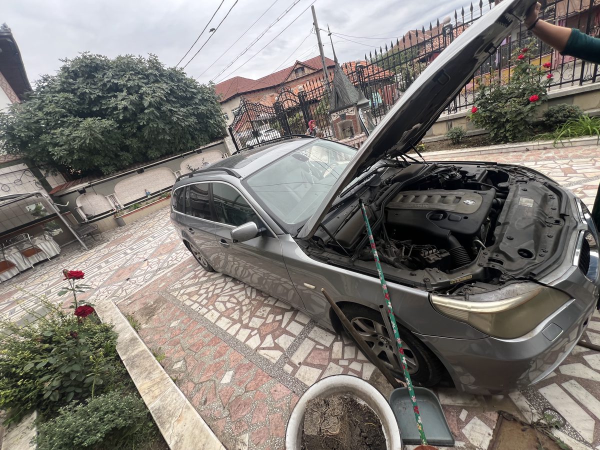 Miniatură 7