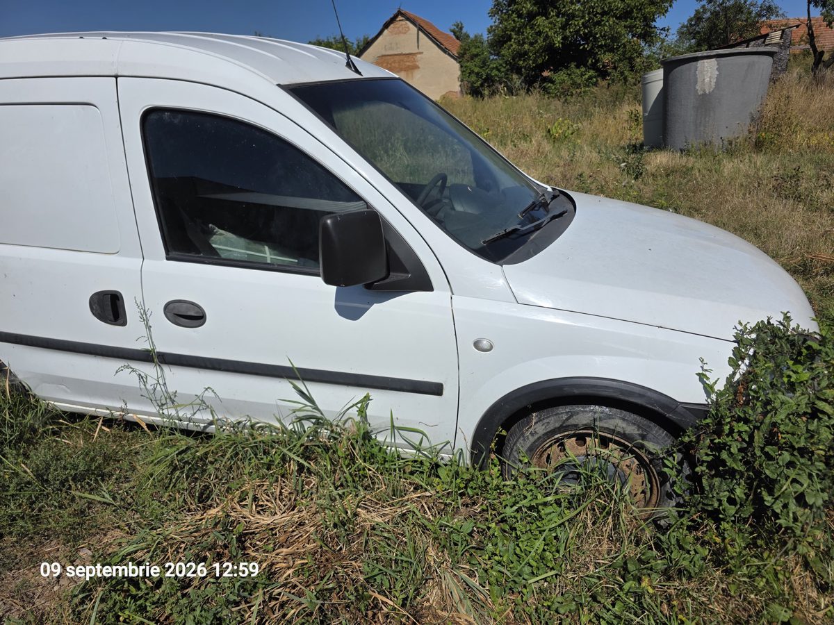 Miniatură 2
