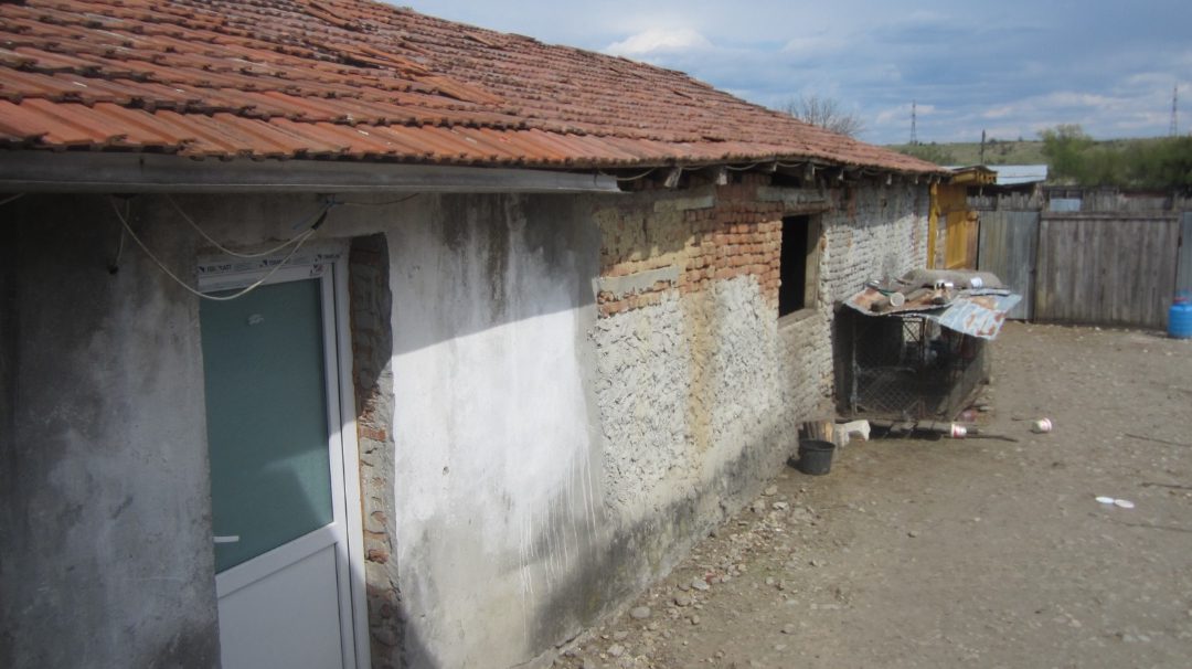 Miniatură 6
