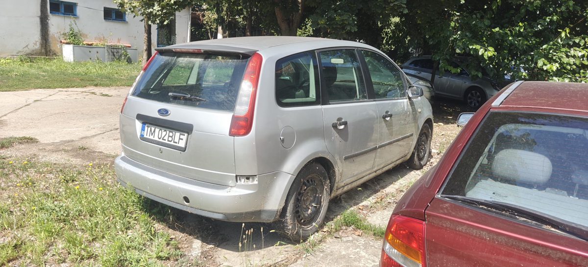 Miniatură 2