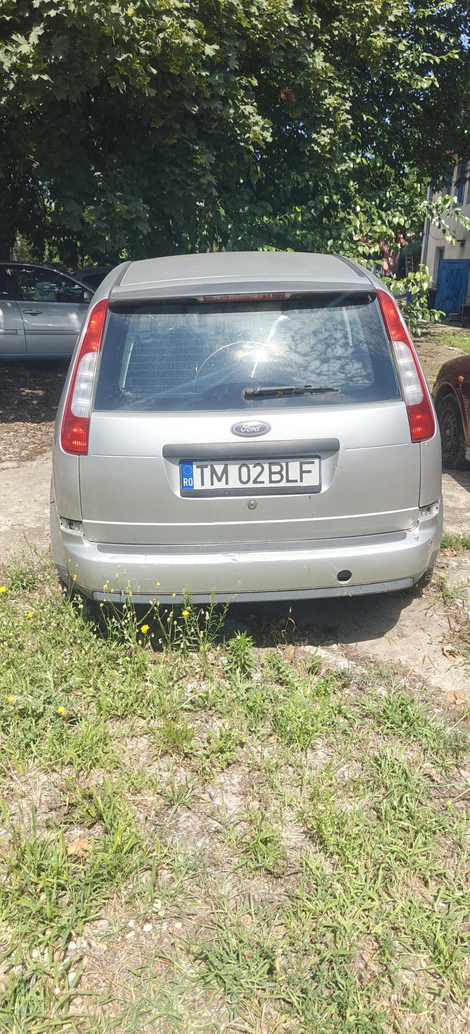 Miniatură 3