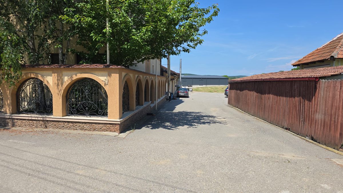 Miniatură 2