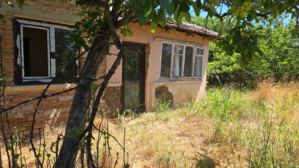 Miniatură 8