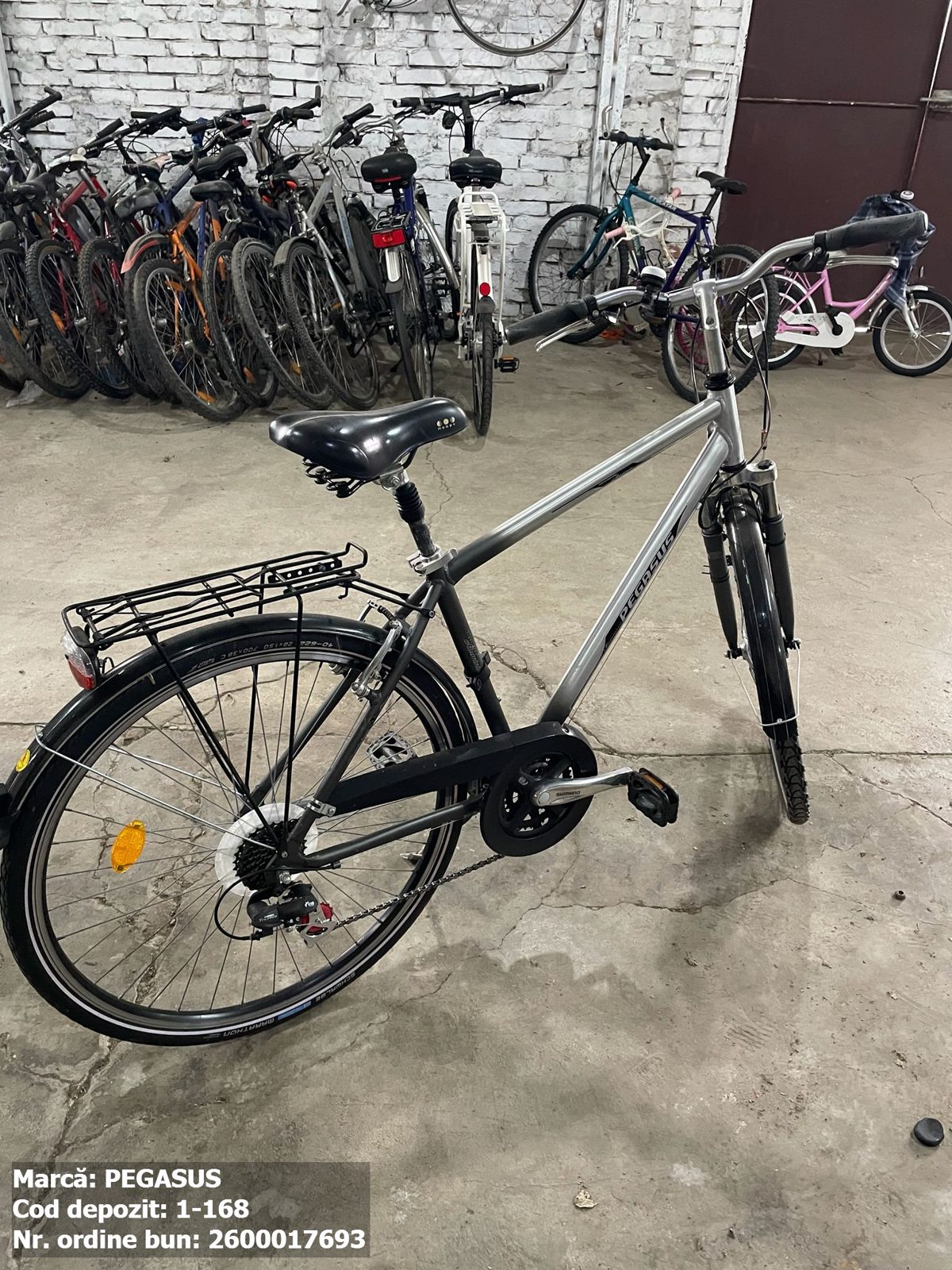 Bicicleta- Pegasus 1
