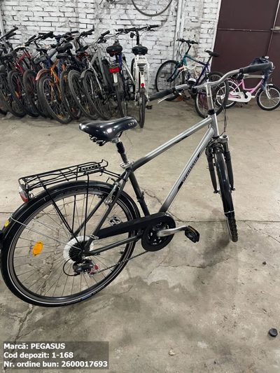 Bicicleta- Pegasus