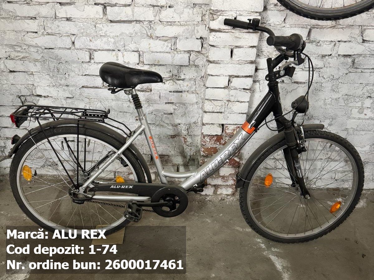 Bicicleta- Alu Rex 1
