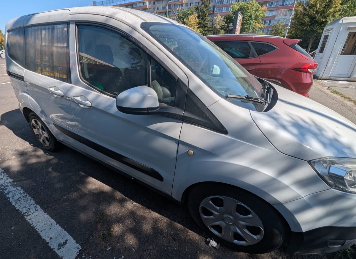 Miniatură 7