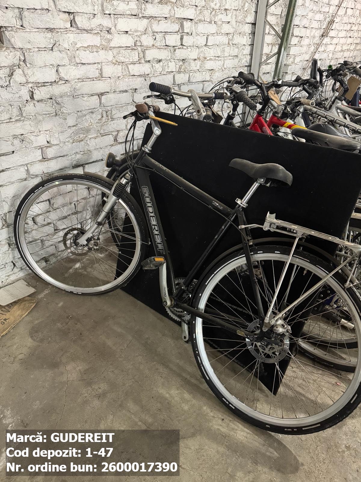 Bicicleta-Gudereit 1