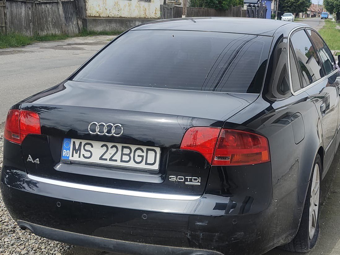 Miniatură 3