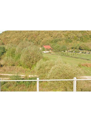 Miniatură 5