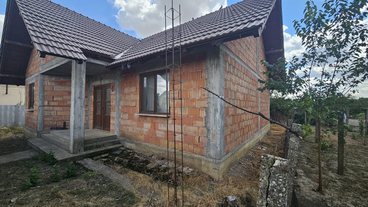 Miniatură 4
