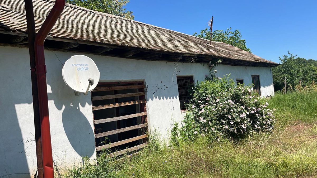 Miniatură 3