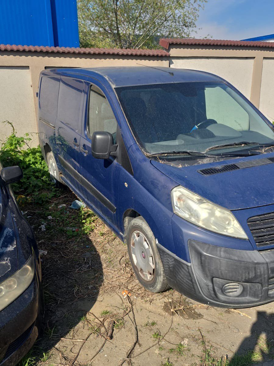 Miniatură 3