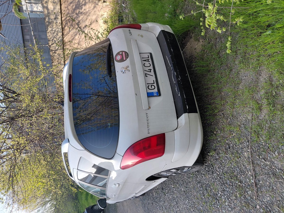 Miniatură 2