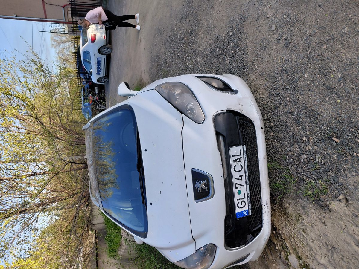 Miniatură 4
