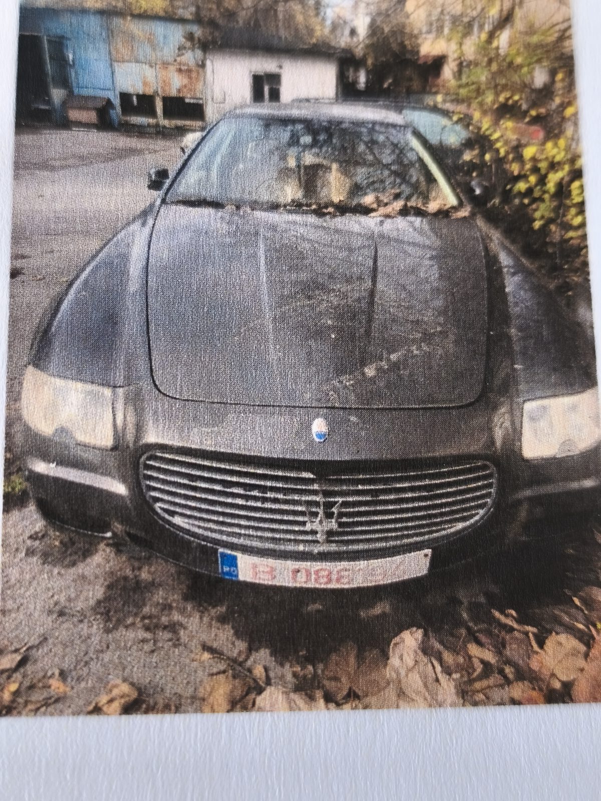Miniatură 2