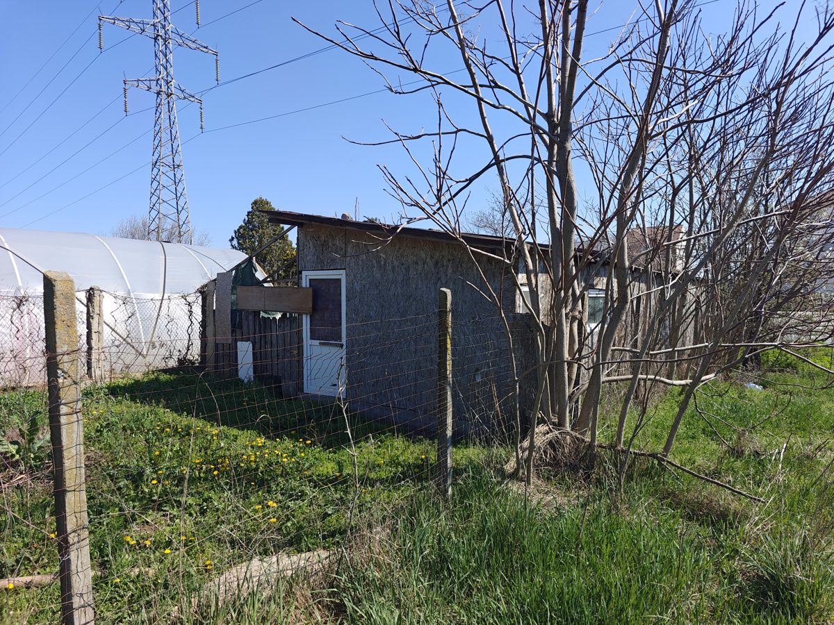 Miniatură 8