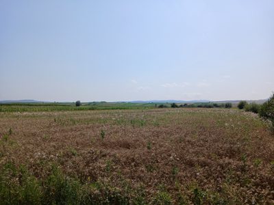 Teren agricol - extravilan in suprafata de 3281 MP