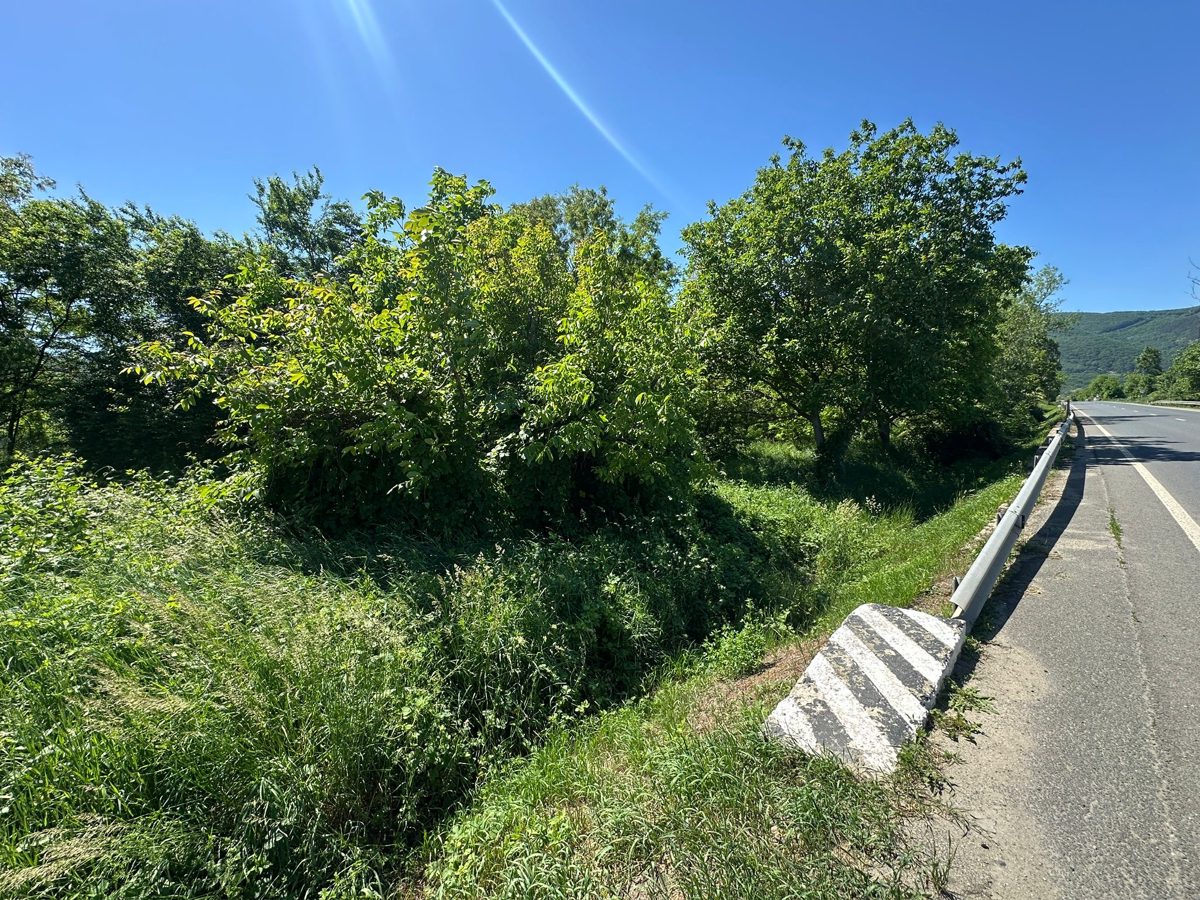 Teren agricol - in suprafata de 1220 MP 1