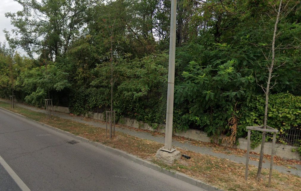 Miniatură 8