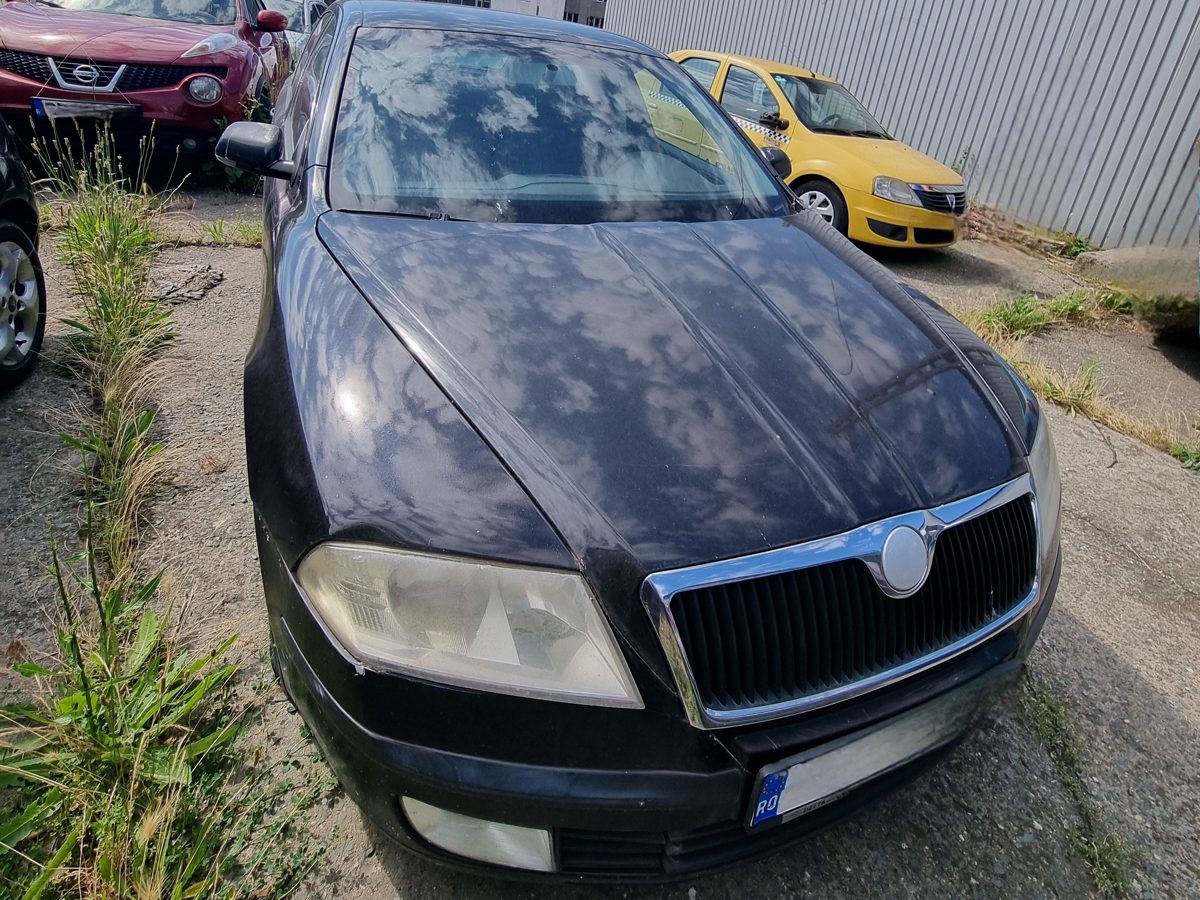 Miniatură 3