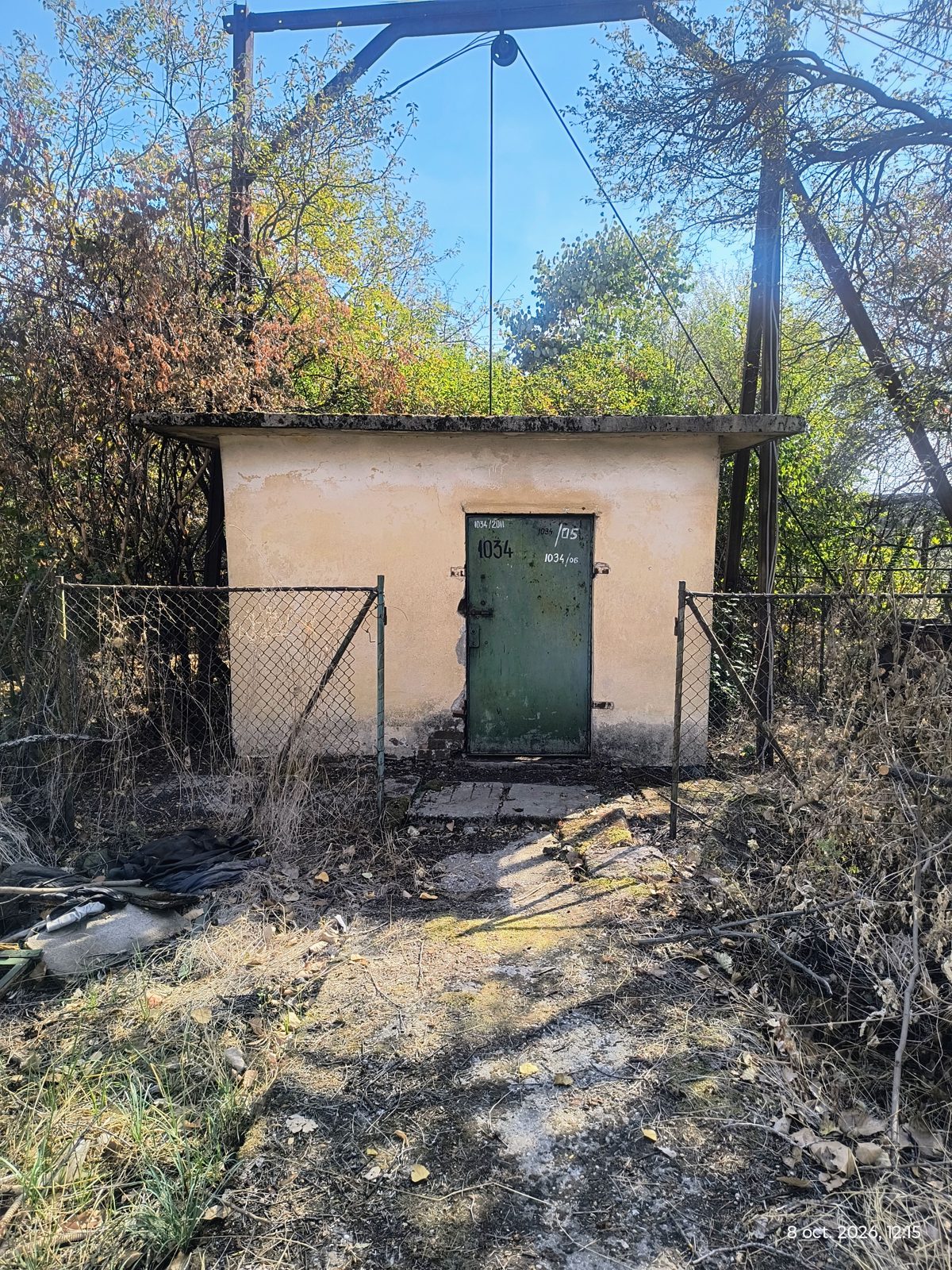 Miniatură 13