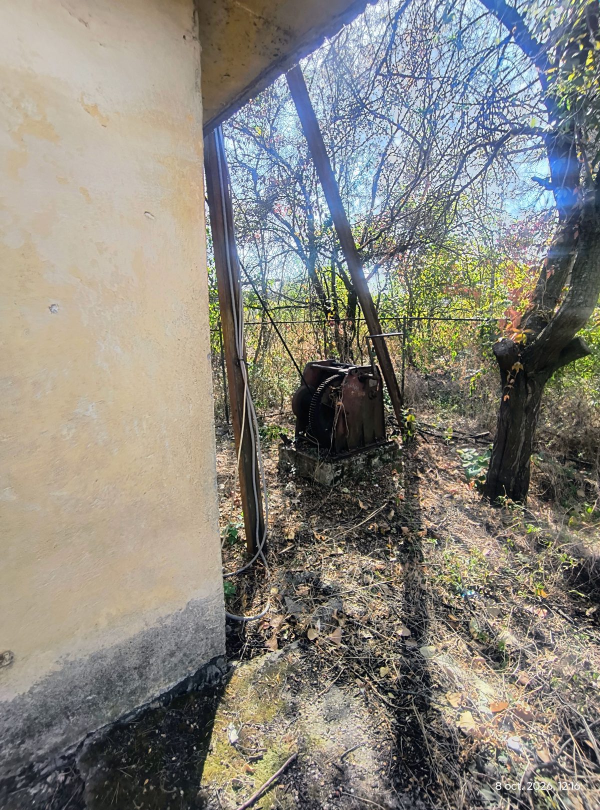 Miniatură 7
