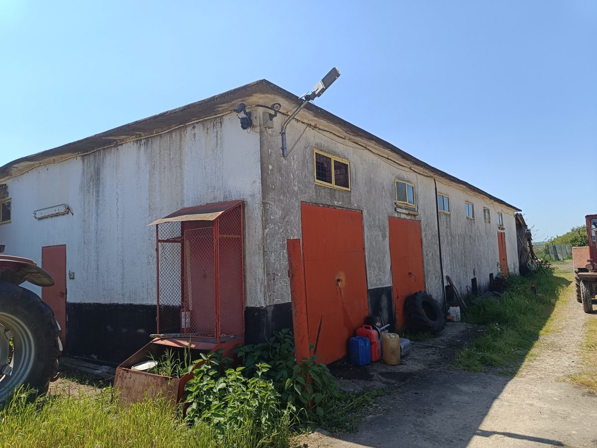 Miniatură 2