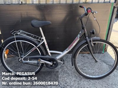 Bicicleta- Pegasus