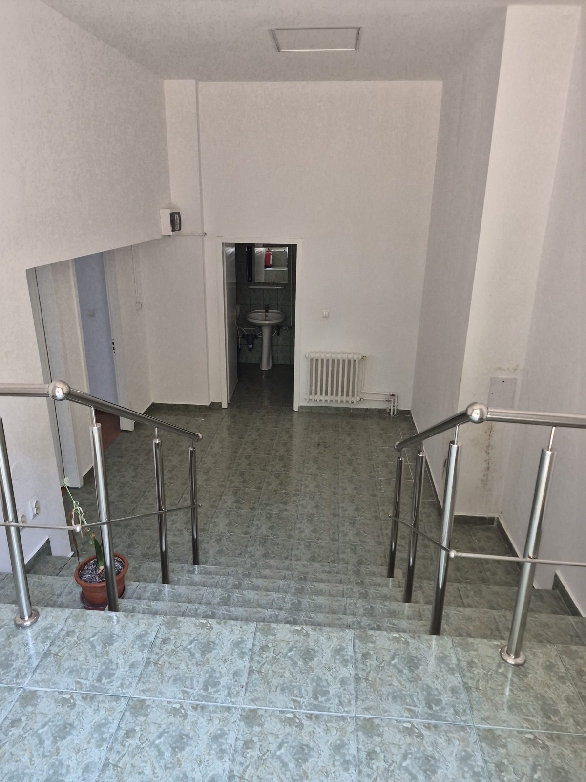 Miniatură 6