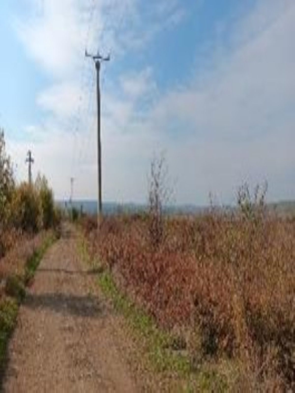 Miniatură 3