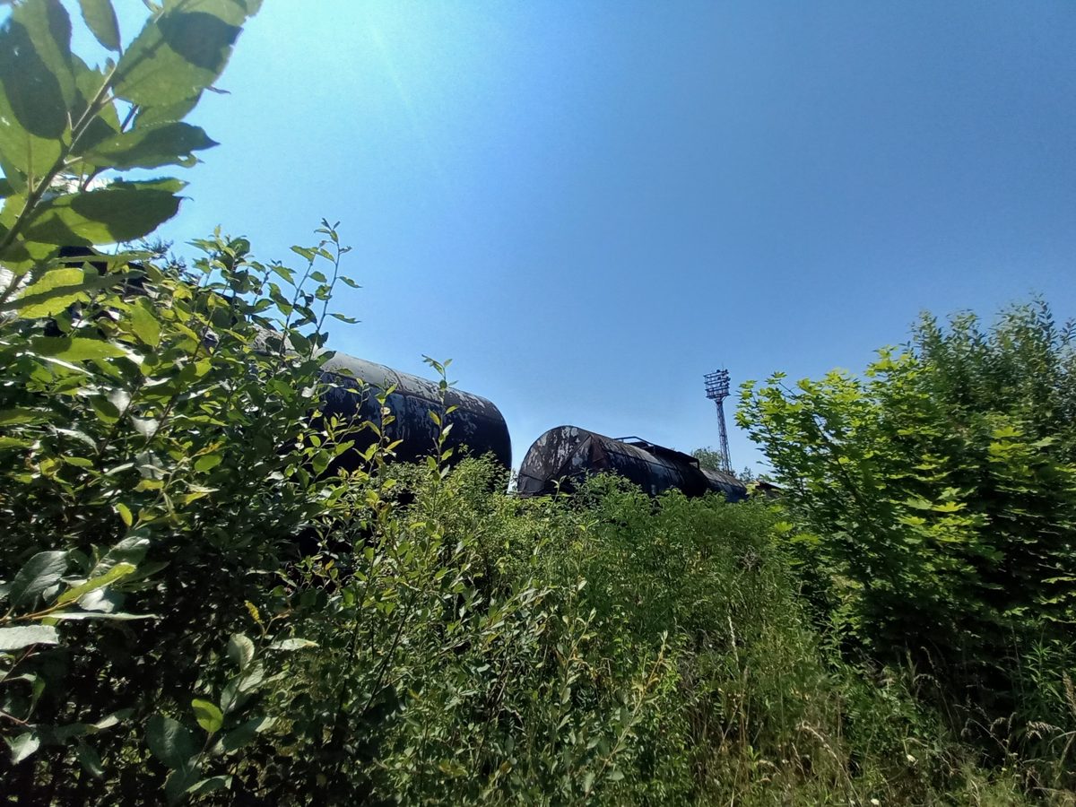 Miniatură 4