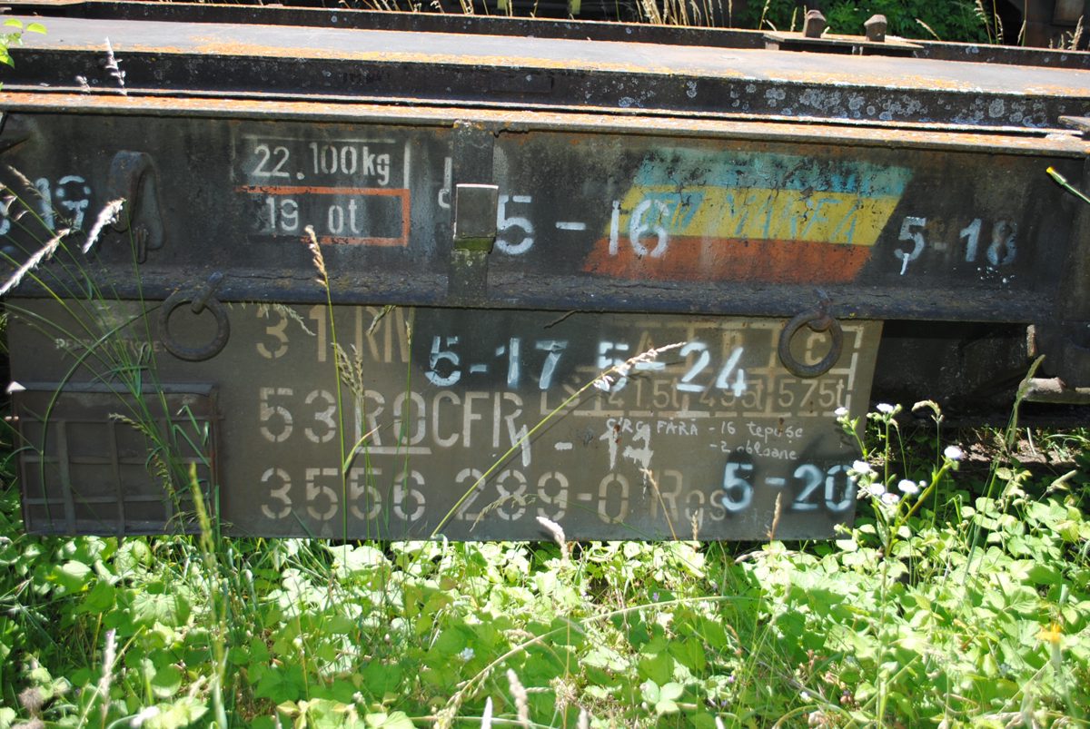 Miniatură 3