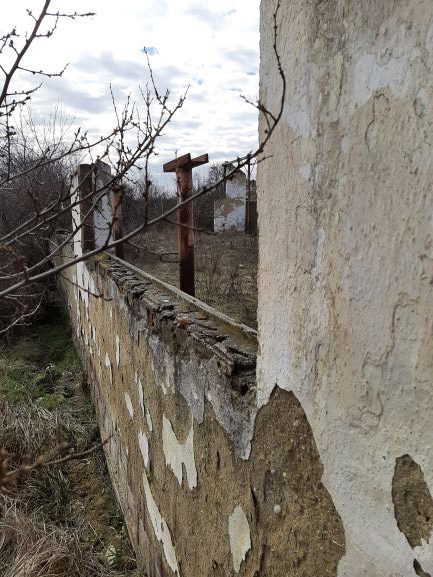 Miniatură 4