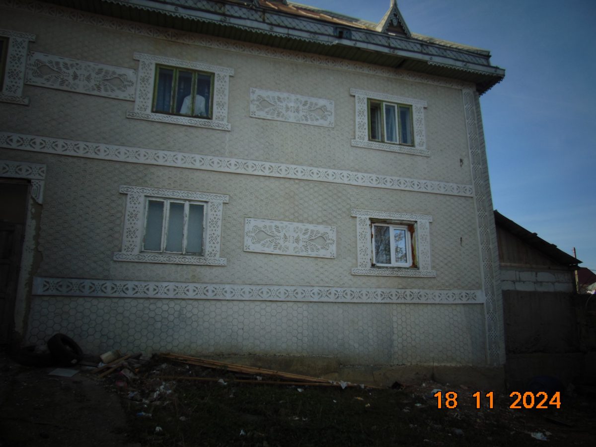 Miniatură 7