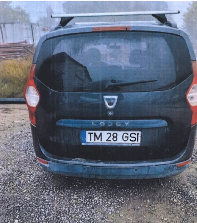 Miniatură 3