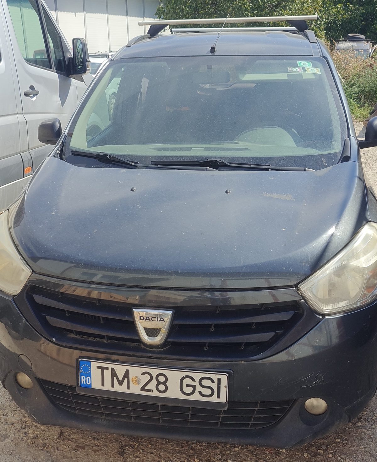 Miniatură 7
