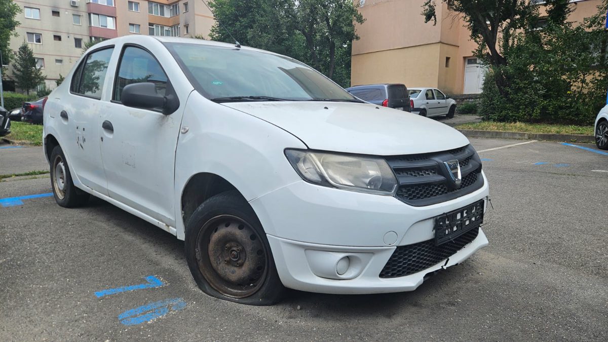 Miniatură 4