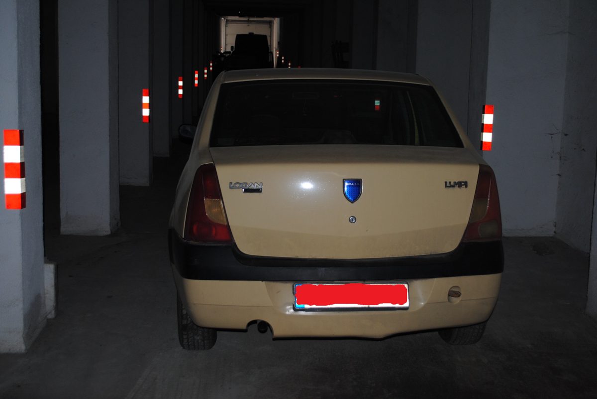 Miniatură 2