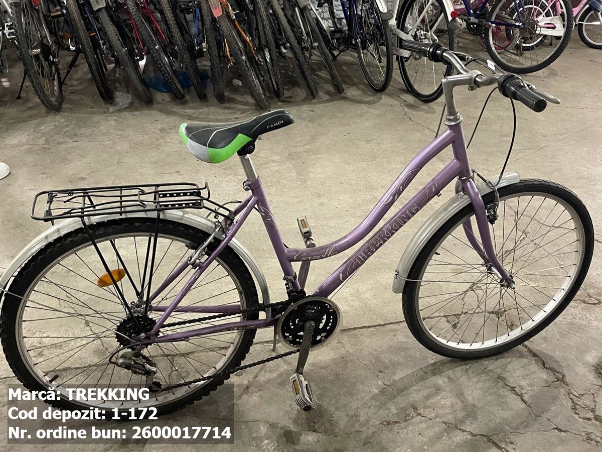 Bicicleta- Trekking 1
